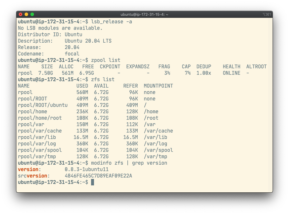 Ubuntu 20.04 With Root ZFS in AWS